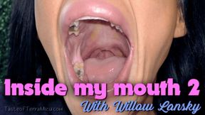 Inside My Mouth 2 - Willow Lansky - HD 720 MP4