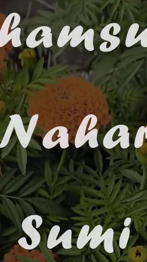 Boner Help Niye Apon Bidhoba Ma Ke Chudlo Nijer Chele   Clip 3