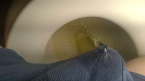 Suburban Secrets: A Kinky Toilet Adventure with the Prince of Suburbia