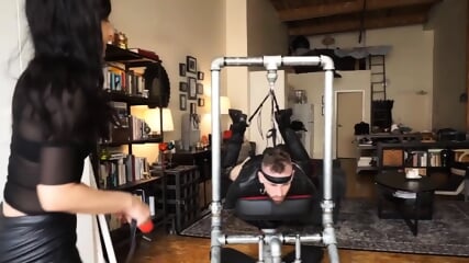 EXTREME   CBT   FEMDOM   CRUEL   BALLBUSTING   DOMINATRIX   MISTRESS   PEGGING   BDSM   FACESITTING   WORSHIP   FEET   HARDCORE   BDSM   BONDAGE