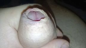 Close up uncut cock