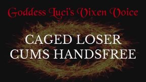 Caged Loser Cums Handsfree