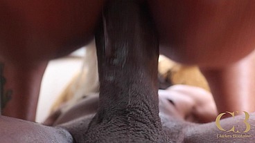 Tales of Republica Park Hotel EP III BBC on Ebony Anne While Neighbors Watch