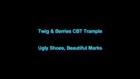 Ugly Shoes Beautiful Marks