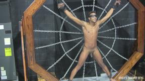 DaddysBondageBoys: Kaden Roads Edges RT With Flogger And Deep Plug Play