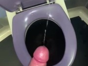 Jerking off in Train Toilets