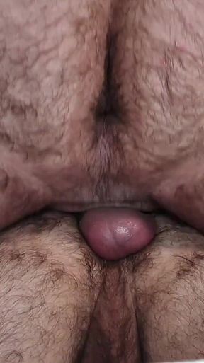 Hairy Bare Loads