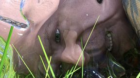 Laura Lustful Secrets: Desperate Housewife S2 Episode 2