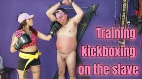 Training kickboxing on the fat pig