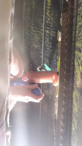 A little vibrator and a dildo