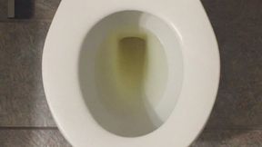 MSN THE ZONE I PISS GOLD *MSN THE ZONE DISCONNECT ROOM NOISE*