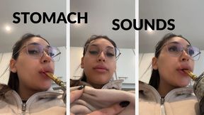 stomach sounds after eating