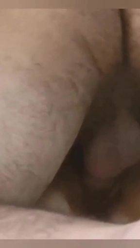 Hairy Pussy Pounded