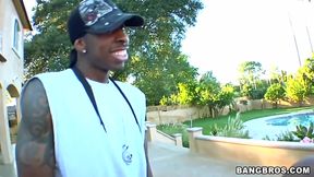 Alexa - Big Black Prize