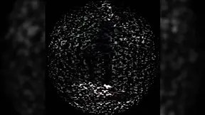 Princess Paris Dominates by Trampling Her Submissive Victim's Ego