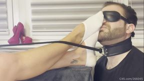 Blindfolded Foot Slave on a Leash - Smelly Socks Sniffing (Part 1)