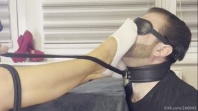 Blindfolded Foot Slave on a Leash - Smelly Socks Sniffing (Part 1)