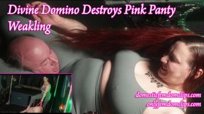 Divine Domino destroys Pink Panty Weakling