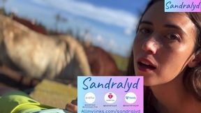 Blowjob And Balls Sucking With Horses