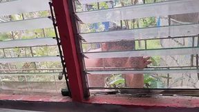 PLUMBER SECRETLY WATCHING ME, COME IN AND EJACULATE BUT DON'T PUT YOUR COCK INSIDE MY PUSSY