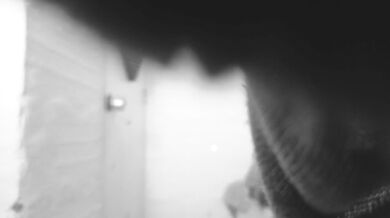 let your imagination fly