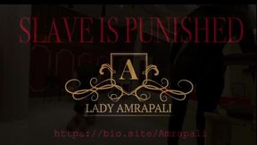. SLAVE IS PUNISHED Total lenghts 15:28 minutes  Strafe - PenisSpanking - Spanking - Punishment - Sklave - Auf Penis schlagen - Penis Slapping  LADY AMRAPALI  Mistress Herrin Domina