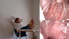 Digestion quiz