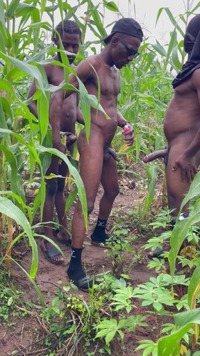 How I Had Sex with This Thuggish Guy with Huge Long Dick Inside a Corn Farm Land