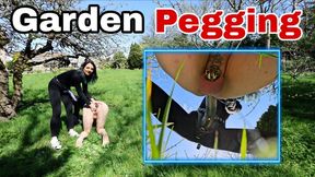 Pegging in my new Garden