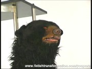 Babe transformed into a bear (movie)