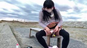 Trainer's Command No. 29: Public Beach Exhibitionism