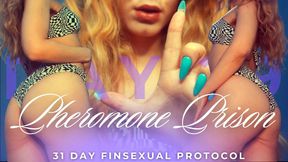 PHEROMONE PRISON. 31 DAY FINSEXUAL PROTOCOL [29/31]