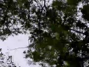 Slutboyben CAM4 Sexy cruising chick VI A5 Parkplatz Kaiserstein