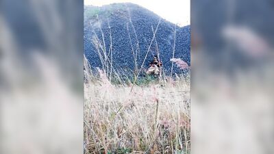 outdoor masturbation of this Mexican daddy video calling with his girlfriends until he cums - horny audio