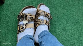 KIRA IN WRECKED SLIPPERS - MOV HD