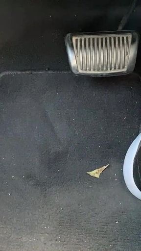 Pedal Pumping in Tennis Shoes by Ivys Feet