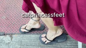 Stare at my sexy feet! Public walking in flip flops, French tip toes, size 9 milf feet