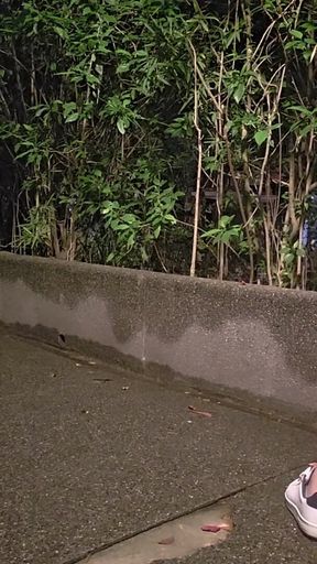 Public Toy Fucking and Outdoor Dildo Self Pleasuring of Shemale Ting Xuan