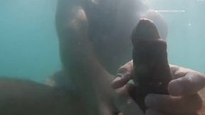 outdoors adventures close to barcelona gay beach sitges