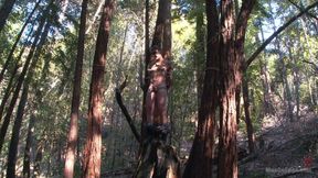 Bound Christian Wilde Begs to Cum in the Woods