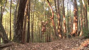 Bound Christian Wilde Begs to Cum in the Woods