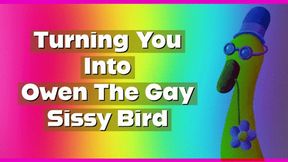 Turning You Into Owen The Gay Sissy Bird