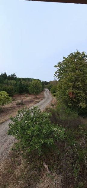 On the high seat in the forest in the underwear of the EX