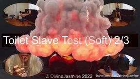 Toilet Slave Test (Soft) - 2/3