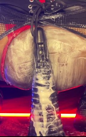 Femboy Bottom Dipsodeep Creams Butthole with Large Dildo - Anal Training