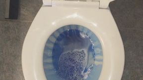 CARNEVIL TOILET DAY APEX LEGENDS, ALTON TOWERS & DOLLAR BILL WISH 2DAY