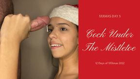 Cock Under The MistleToe - XXXmas 2022 Day 5