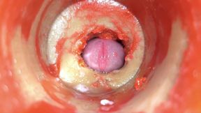 Camera in Anal Cervix POV, Tiny Cucked by Giant &#039;&#039;couple&#039;&#039;, Cum in Anal and Creampie - Asmr