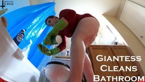 Giantess Cleans Bathroom VR 360