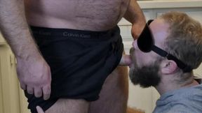 Bears At Play: Blindfolded